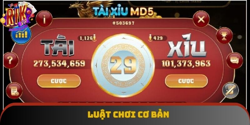 Cách chơi đơn giản, dễ hiểu cho người mới tham gia Cách chơi đơn giản, dễ hiểu cho người mới tham gia